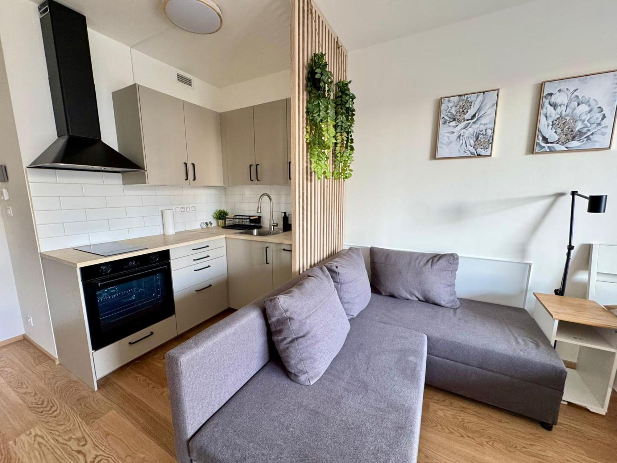 Apartment Centrum Park District Prag